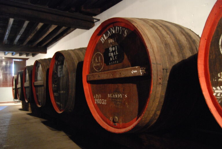Madeira wine kegs, Old Blandy's Wine Lodge, Funchal, Madeira, Portugal