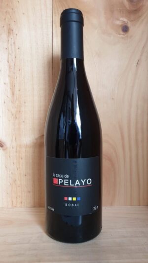 La Cepa de Pelayo La Cepa de Pelayo Bobal (2)