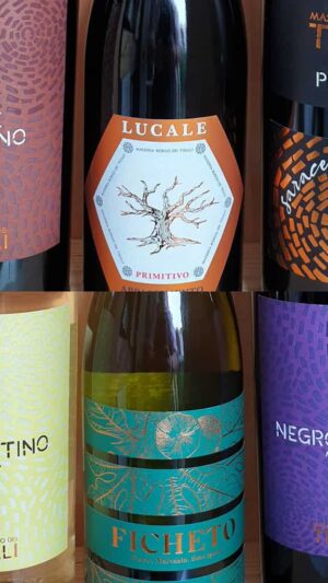 Borgo Dei Trulli Italian Wine Sampler - 6 x 75cl bottles