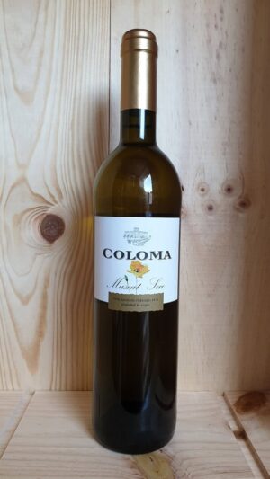 Coloma Dry Muscat, Vino de la Tierra de Extremadura