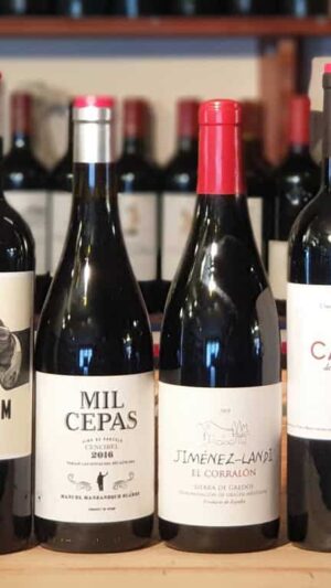 La Mancha Spanish Wines Mixed Case (6 bottles)