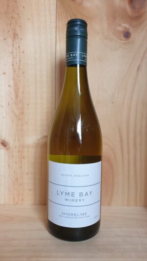 Lyme Bay Shoreline