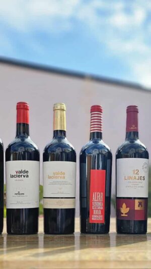 Rioja and Ribera Wine Sampler - 6 x 75cl bottles