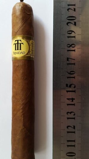 Trinidad Reyes Cigar - 1 Single Cigar