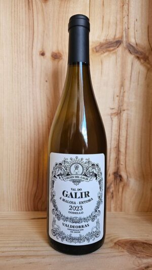 Val do Galir Godello