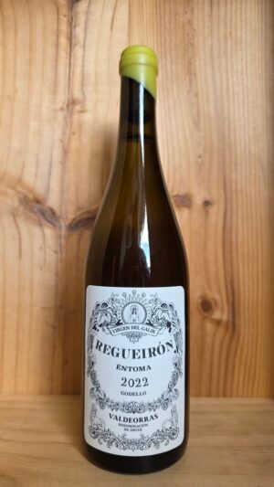 Virgen del Galir Regueirón Godello, Valdeorras DO Galician White Wine 75cl bottle (1)