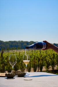 A bottle of hambledon Classic Cuvee Brut sparkling english wine be poured